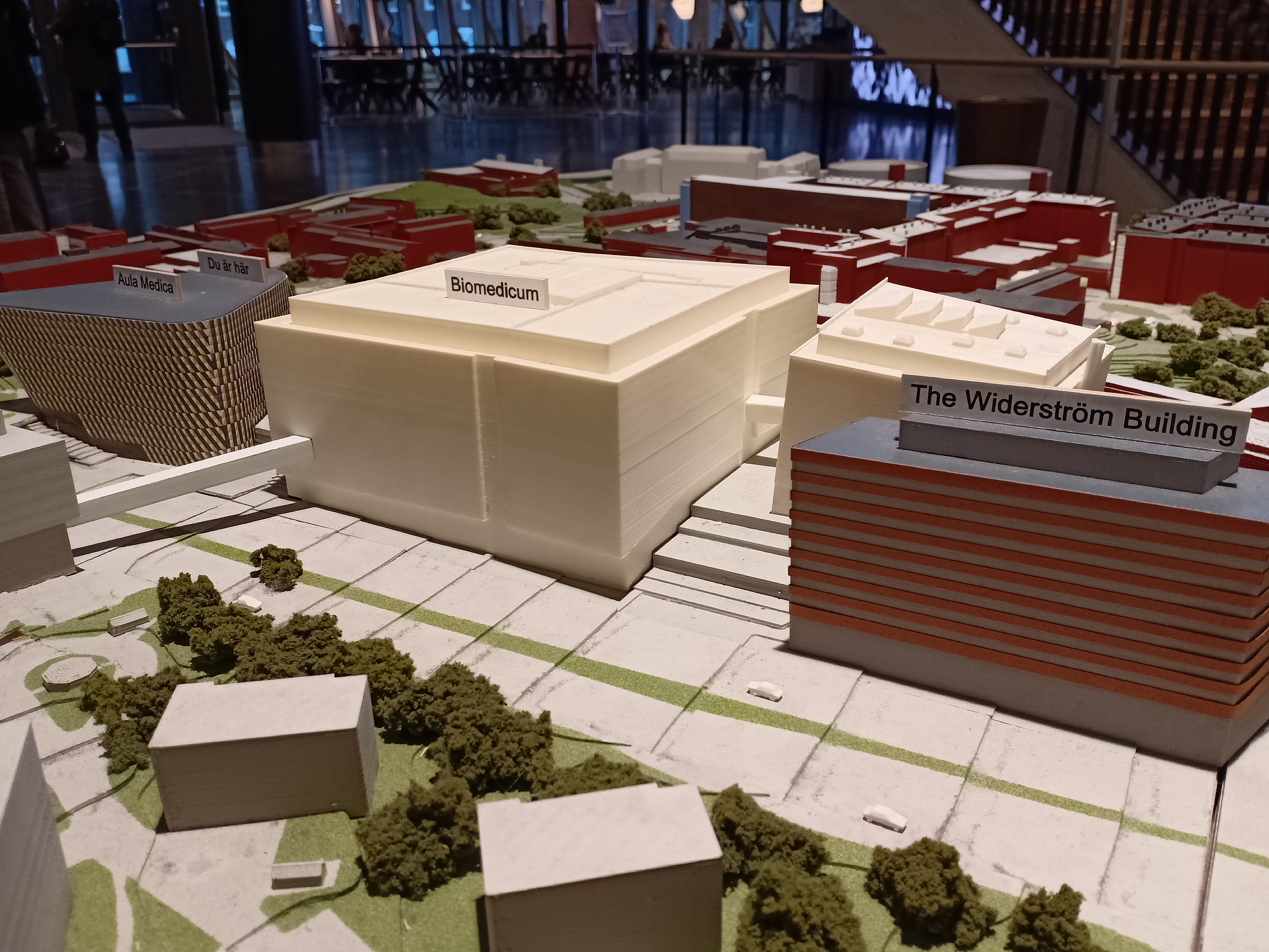 Picture showing three minianture building models, each name writtent on top of the model, from left to right: Aula Medica, Biomedicum, and The Widerström Building