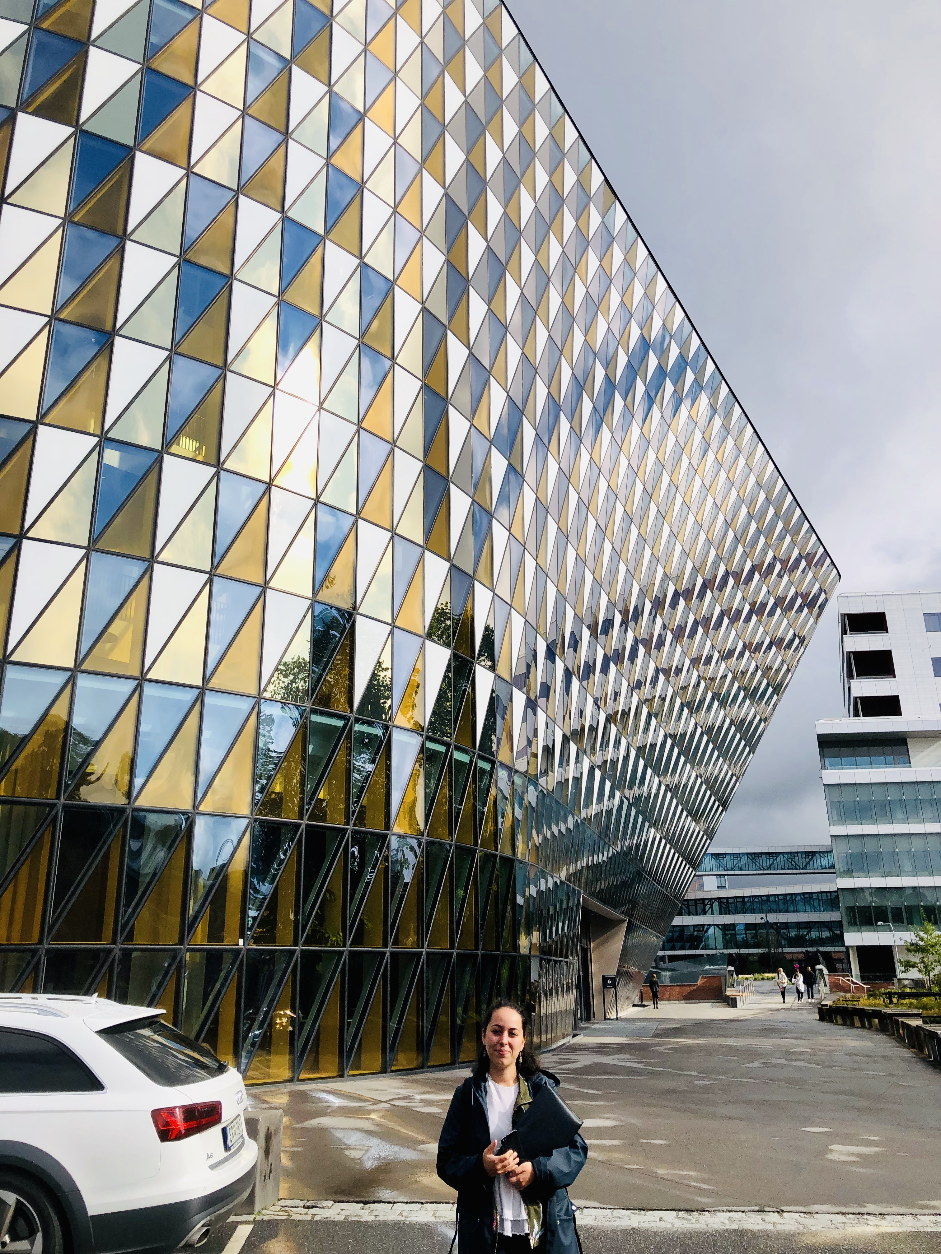 Aula Medica at Solna Campus