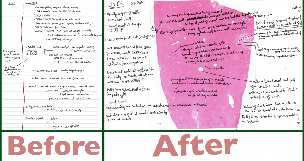 A before and after picture if some notes, where the after is better annotated with an image included.