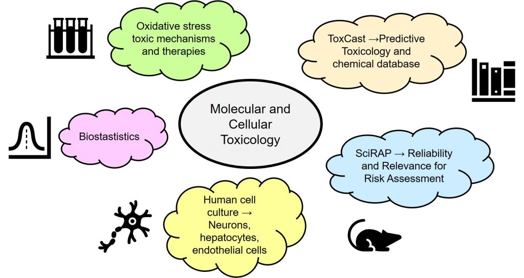 Molecular-and-Cellular-Toxicology