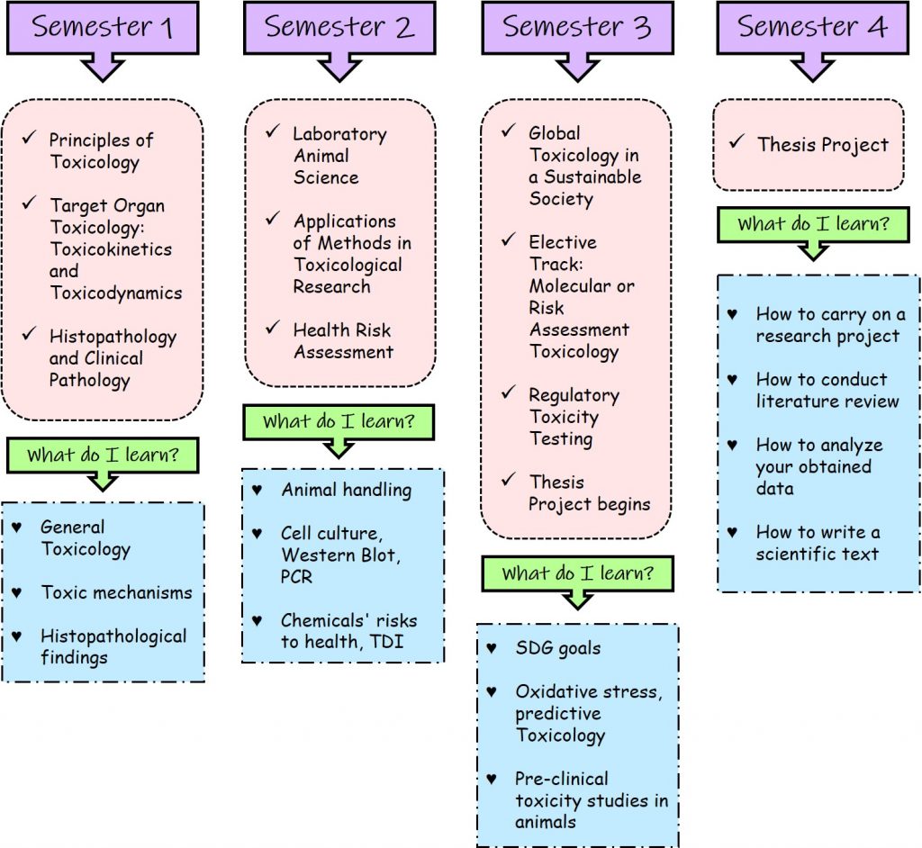 Tox programme structure 