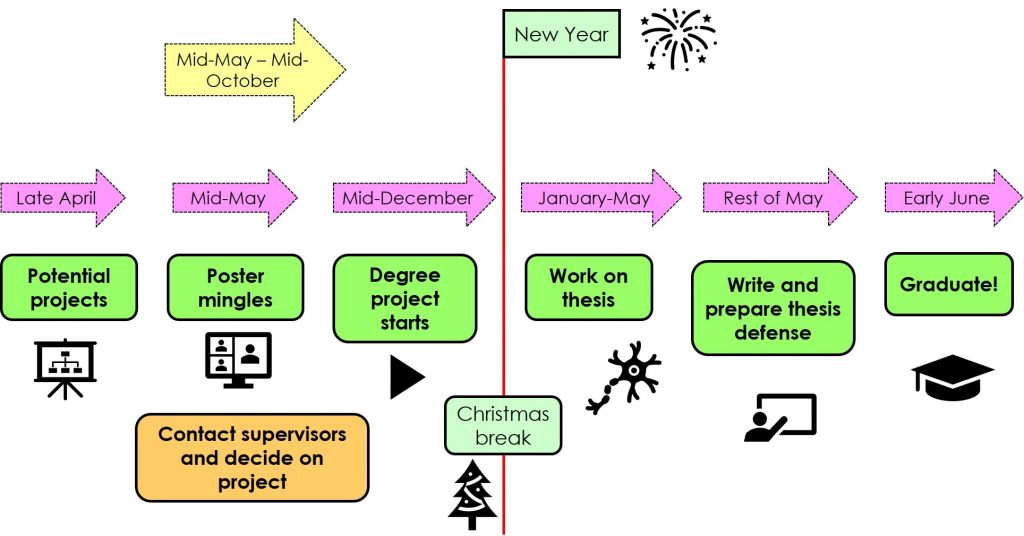 Thesis process 