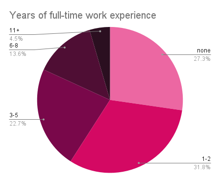 Pie chart of work experience