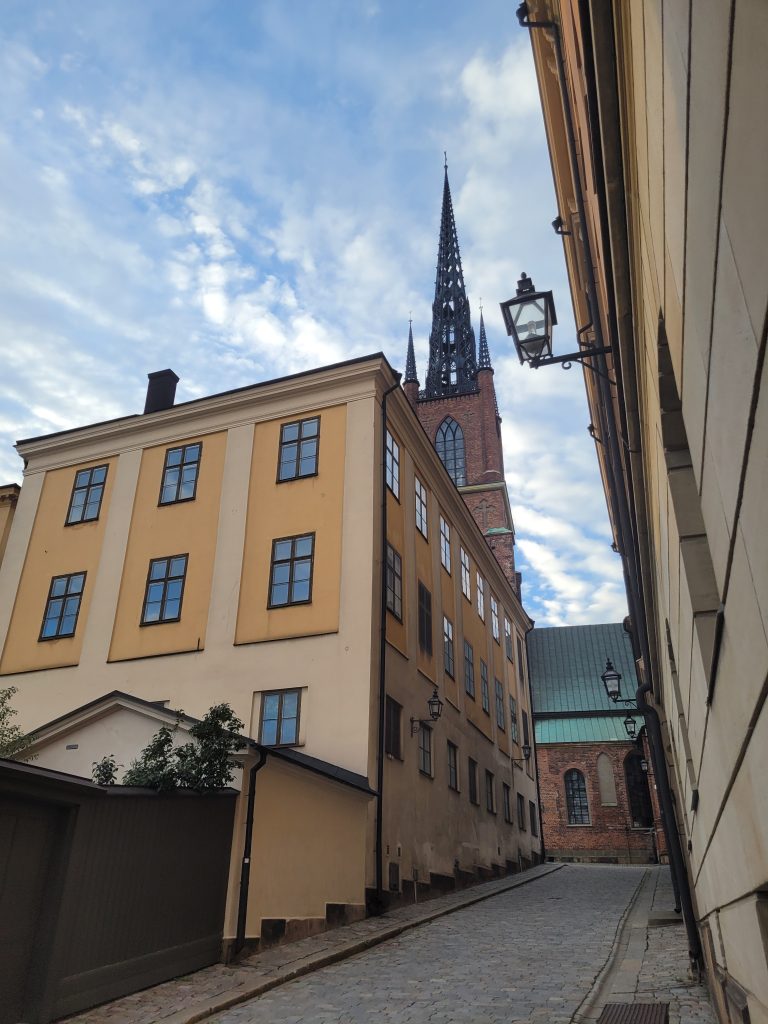 Stockholm viewpoint by Vlad Popescu