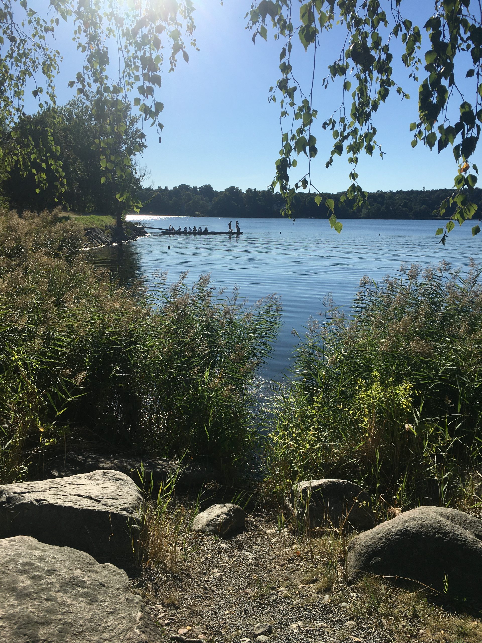 Swimming in Hagaparken