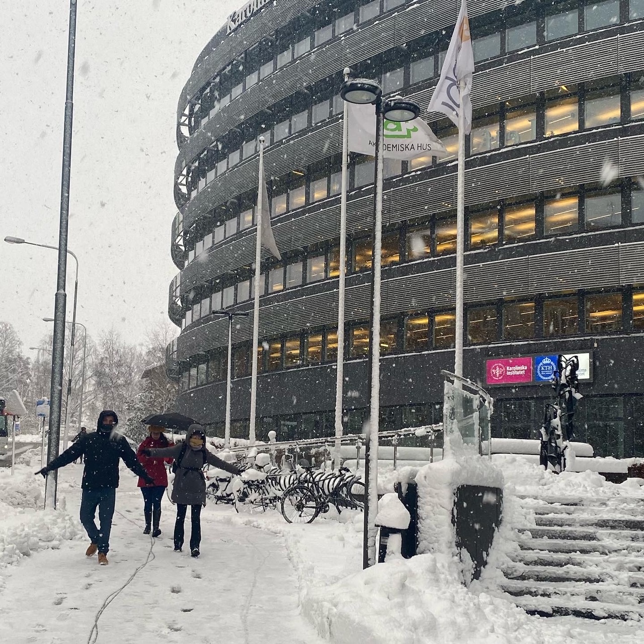 snow in sweden