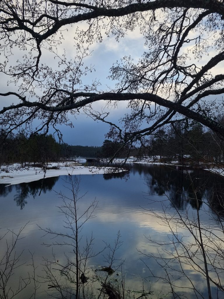 Lake in Fredriksberg.