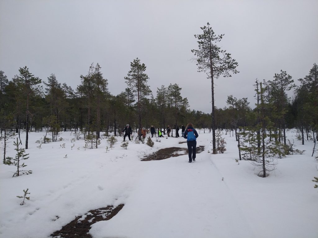 Long walk in Dalarna.