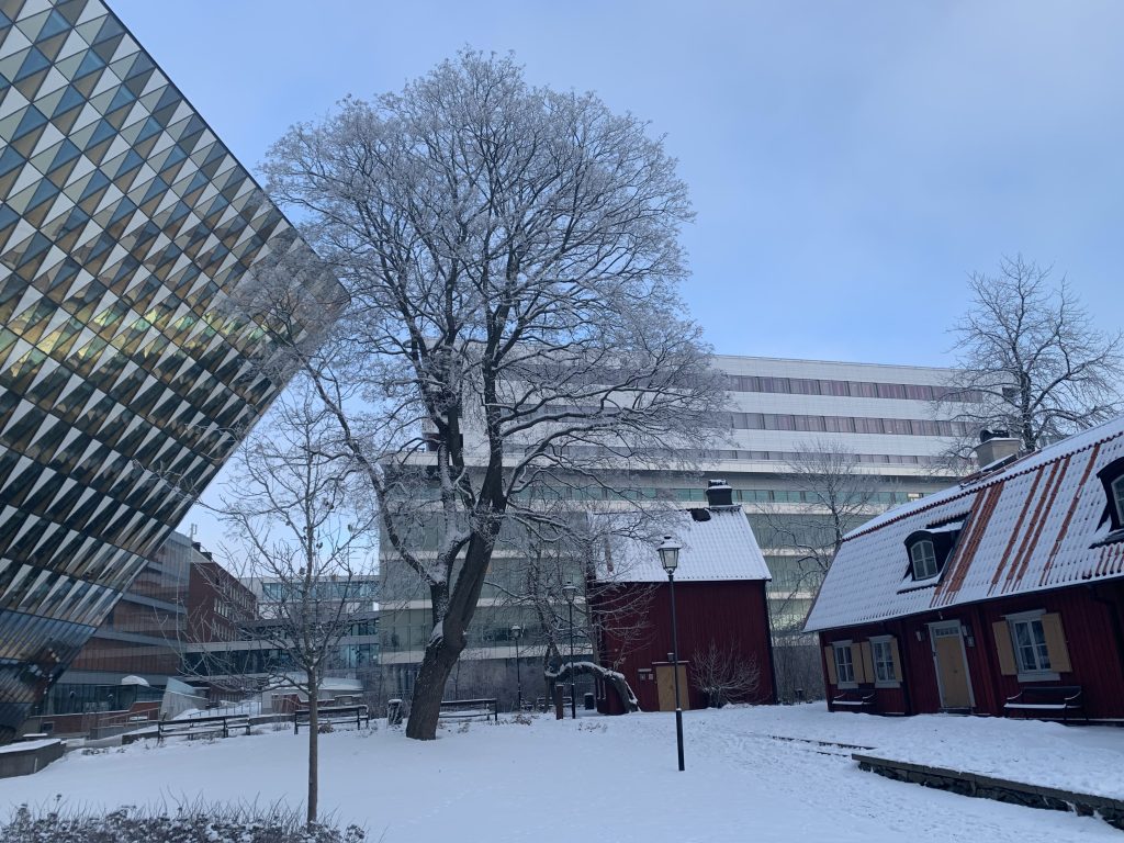 Snow on the ground in front of Aula Medica