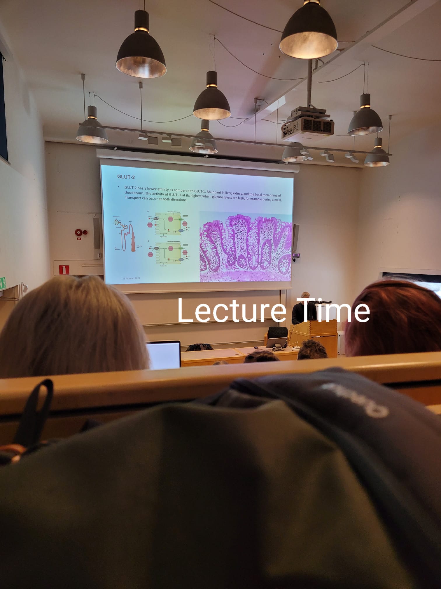 Lecture time; credits: Vlad Popescu