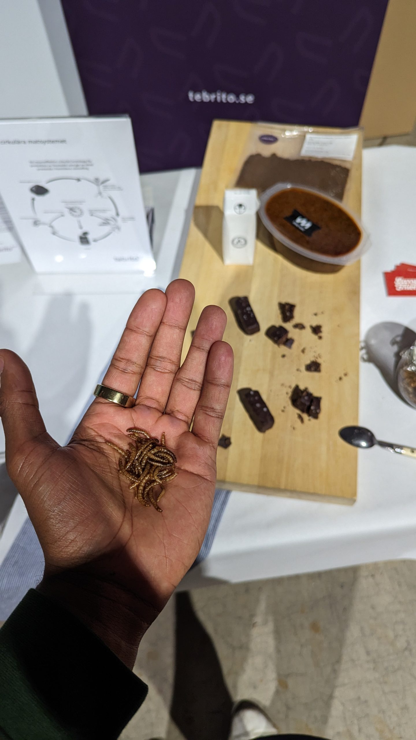 Insects for protein snacks. Photo Credit: Tade Idowu