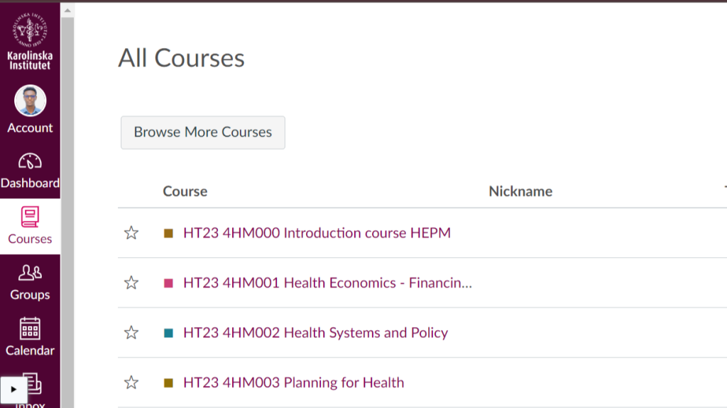 A screenshot of the canvas showing the four courses taken in the first semester for the course overview and reflection blog post