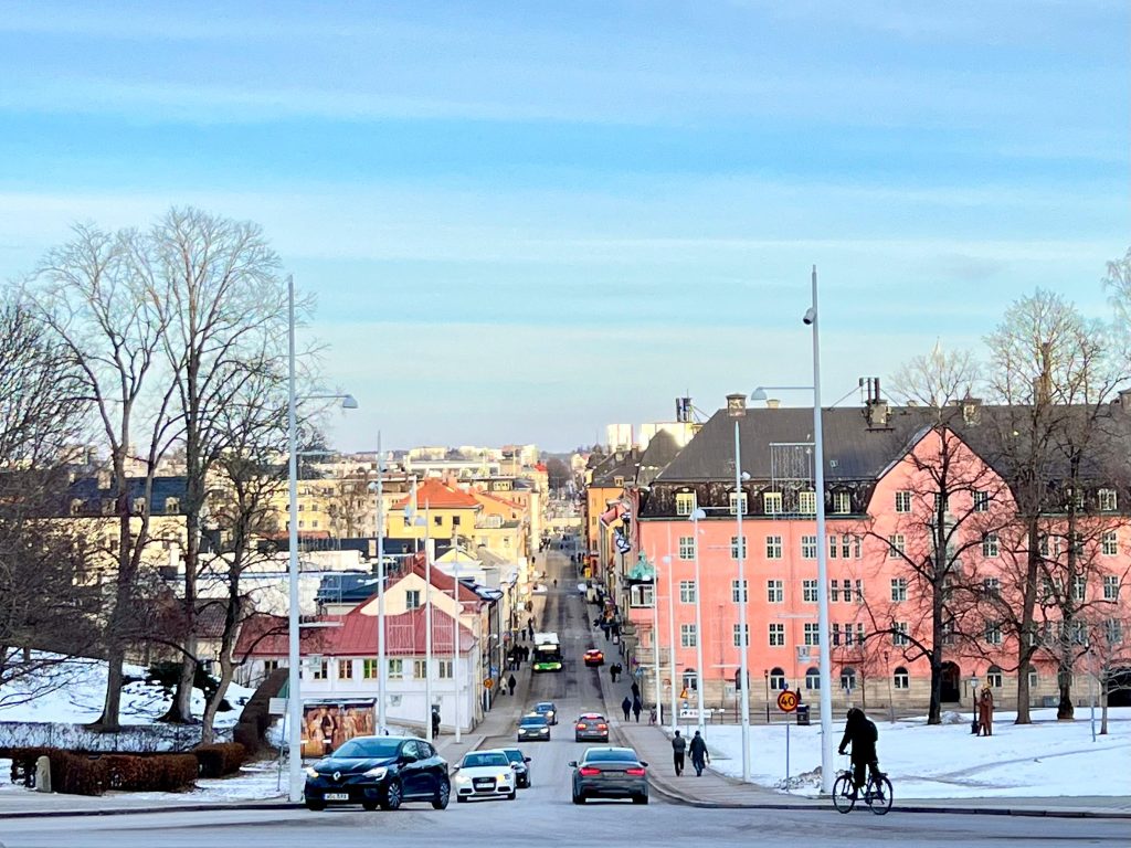 A picture of the city of Uppsala from the door of the Gustavianum museum.