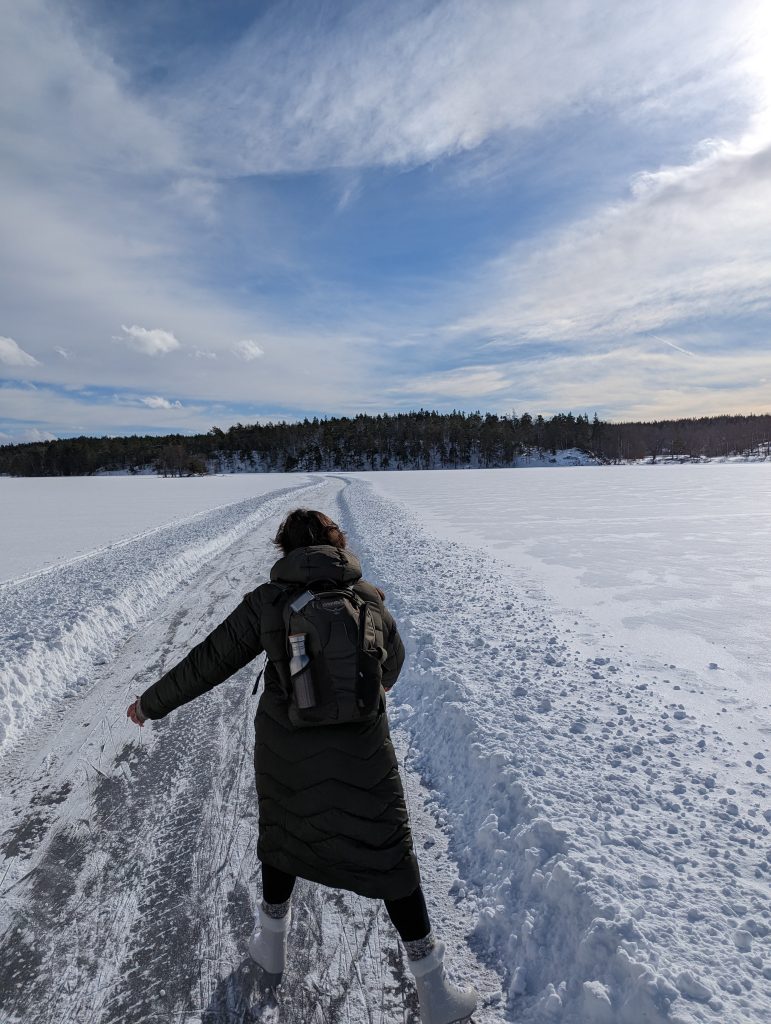 Ice skating on lake around Stockholm (Only do it when it is safe). Photo Credit: Tade Idowu