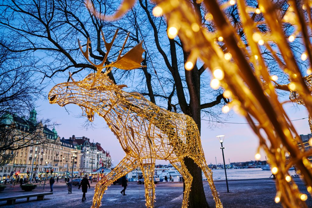 The festive season with light-up moose structure.