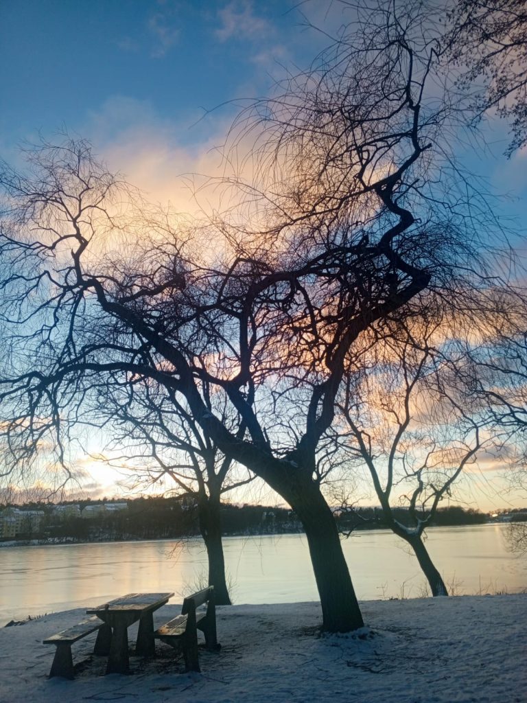 Trees in front of a lake