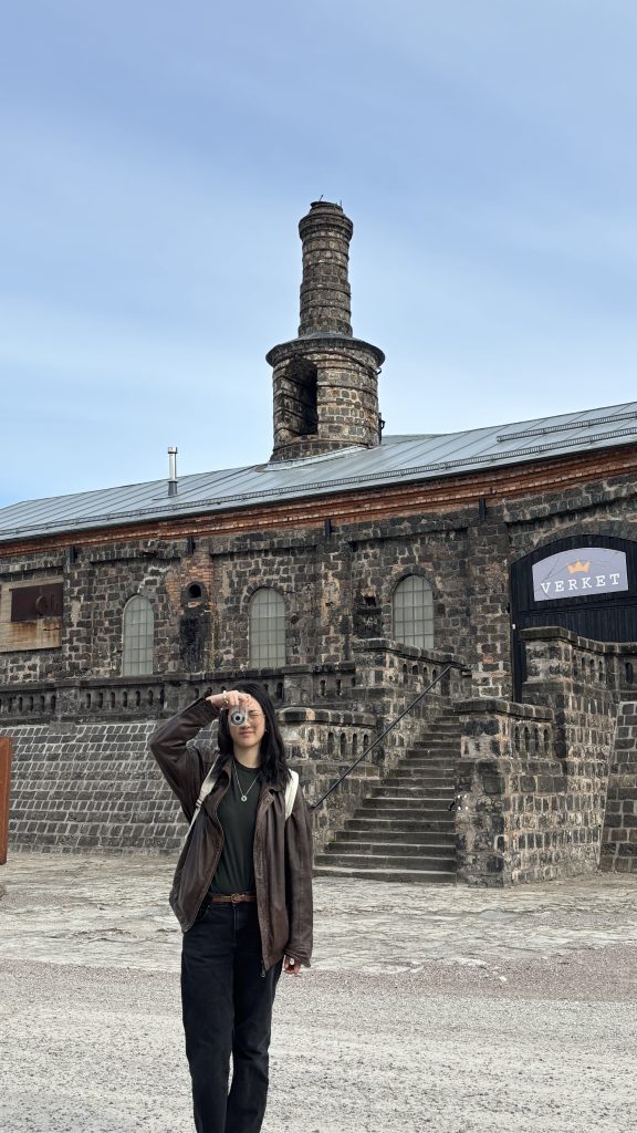 A girl is taking a picture with a digicam