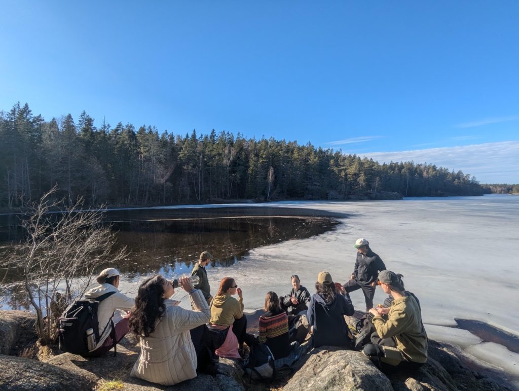 Hike with programme colleagues to Tyresta National Park