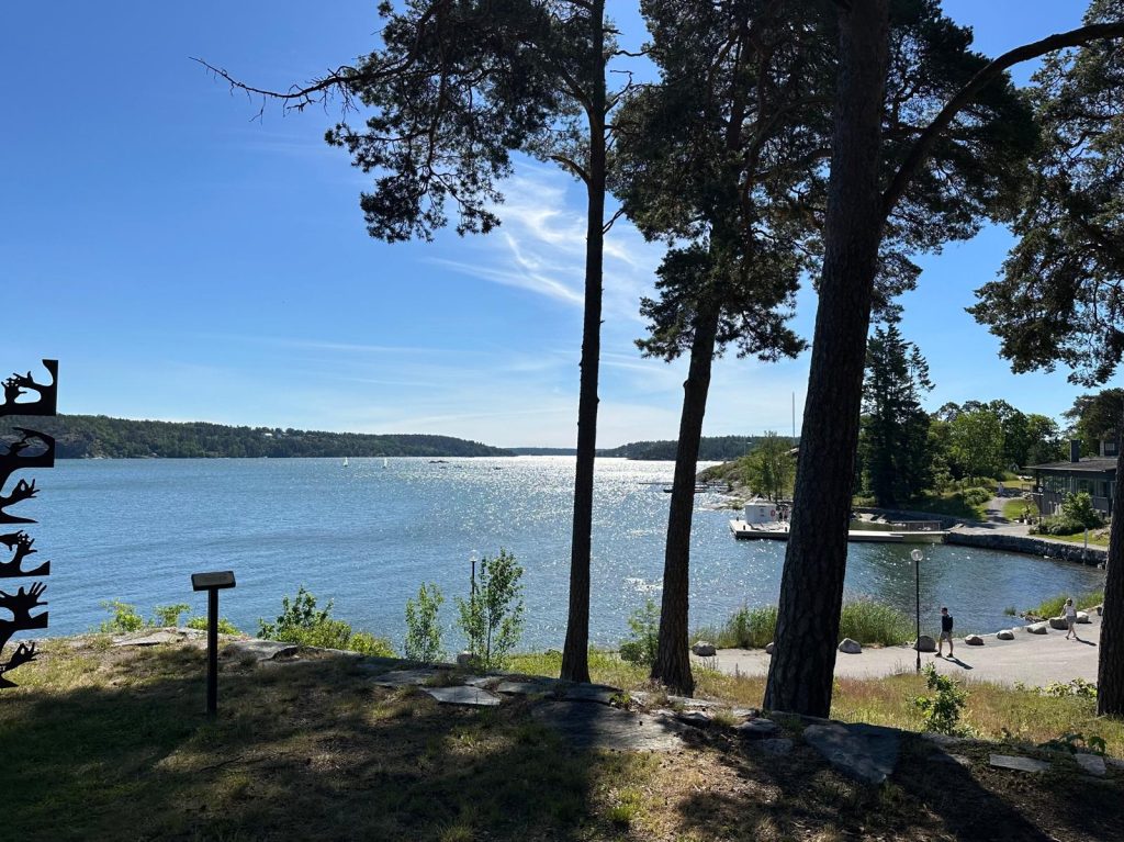 Sunny sea view with pine trees in the foreground