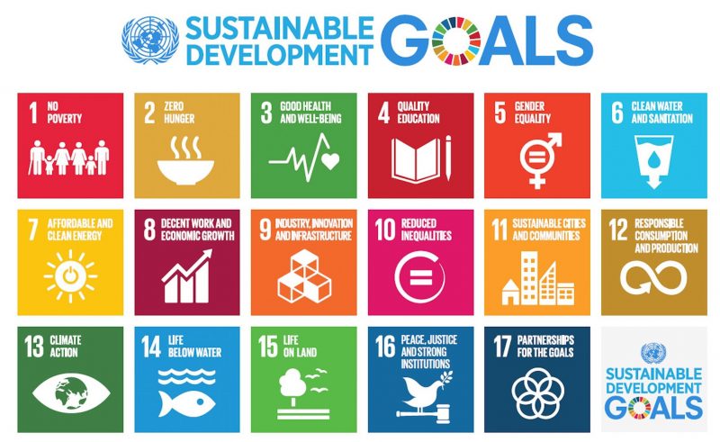 The 17 Sustainable Development Goals