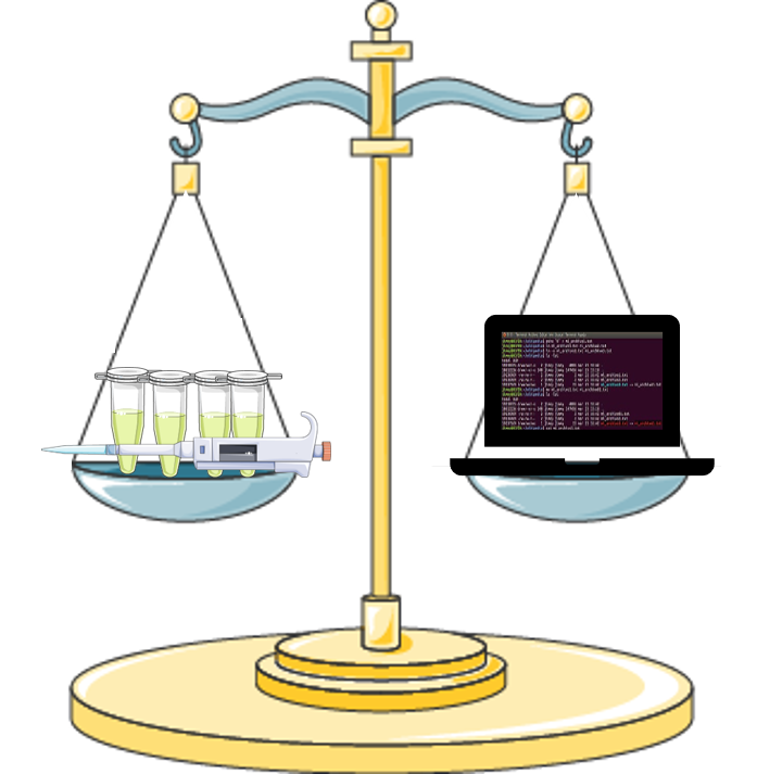 Balance between lab work and computation in molecular biology