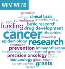 Word map with the words: cancer, research, prevention, oncology, funding as central.