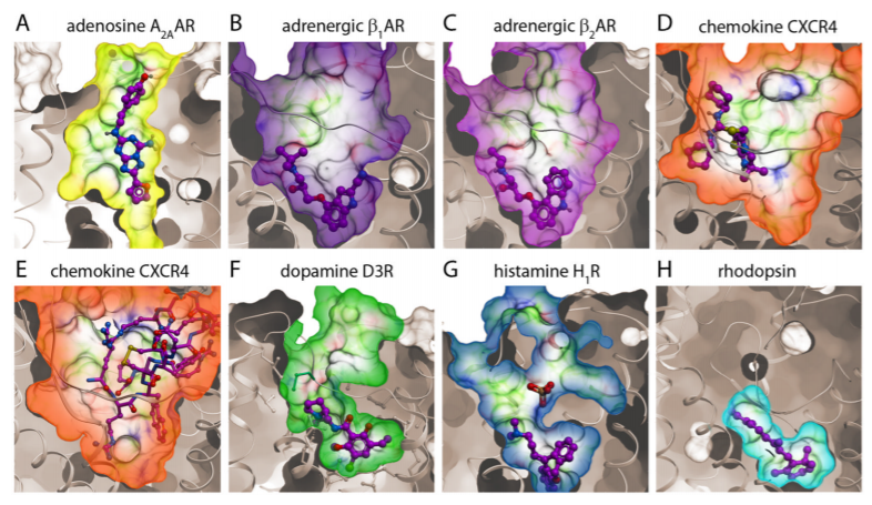 gpcr.PNG