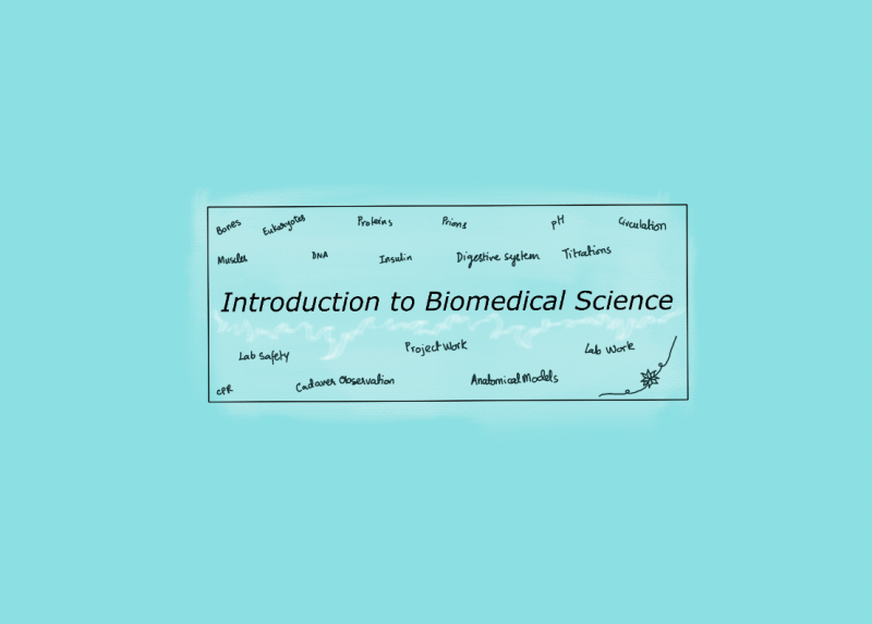 A text based image with Introduction to Biomedical Science in the middle and buzzwords from the course written around