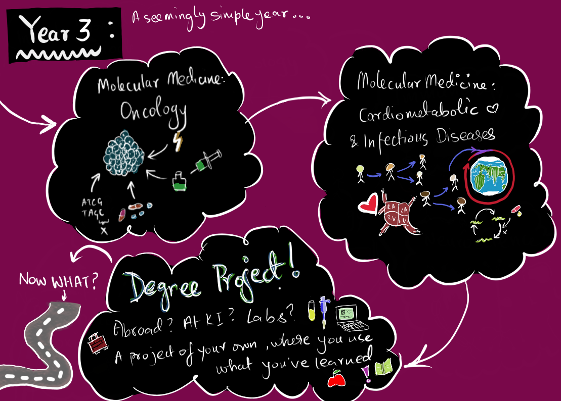 A series of connecting bubbles each displaying a course of the third year and little drawings that capture their essence