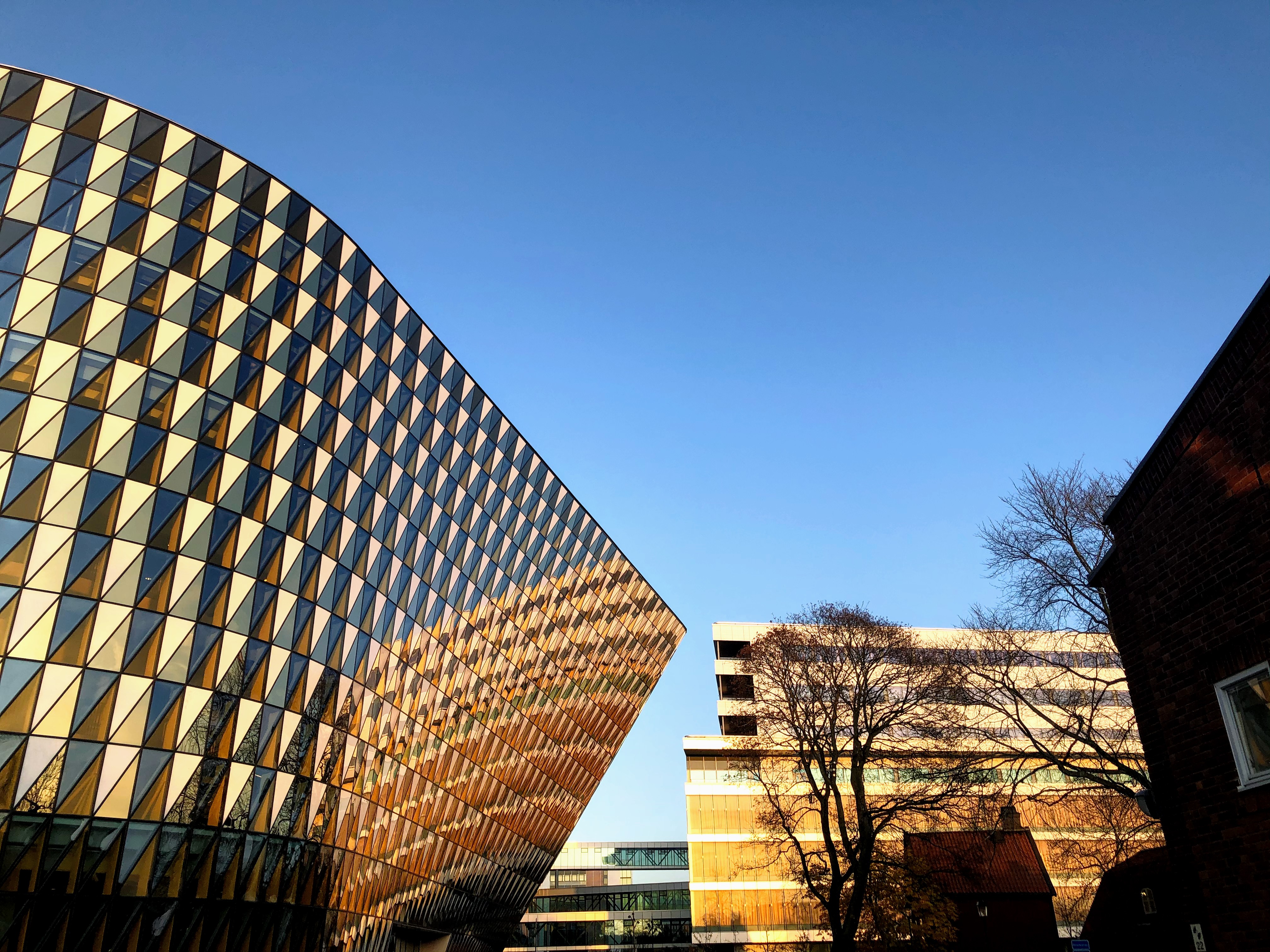 An image of Aula Medica in the sunlight