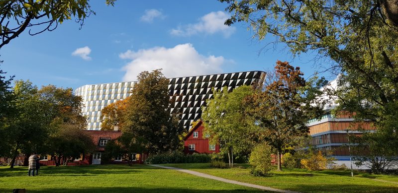 Aula medica in autumn