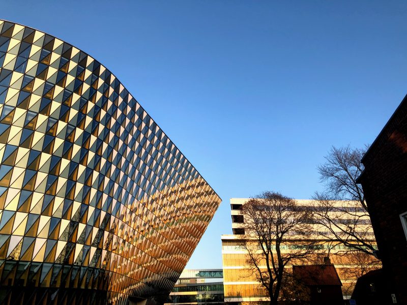 Aula Medica in the sunlight