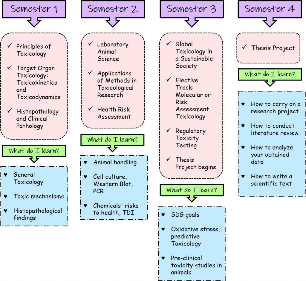 Toxicology programme outline