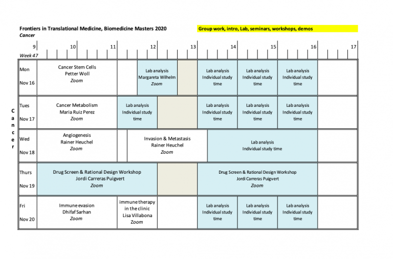 A day as a Biomedicine (MSc) student - Semester 1 (Part 2/2) - Student ...