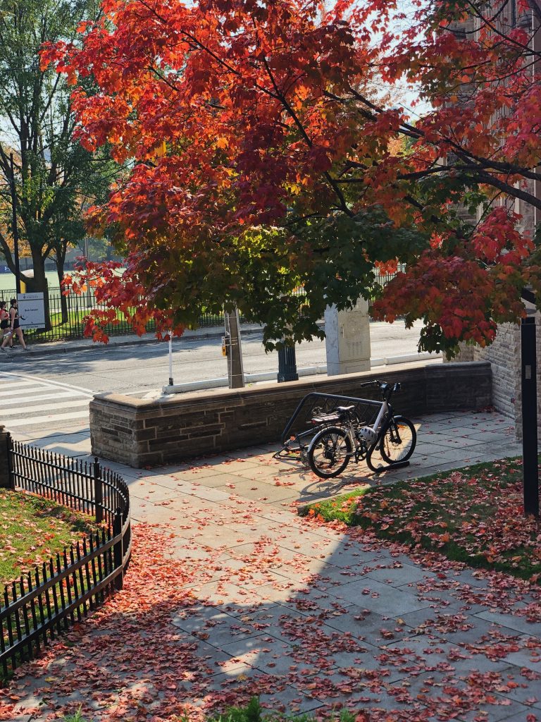 Autumn and a bicycle 