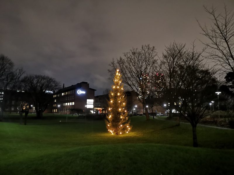 Christmas tree at Karolinska Institutet