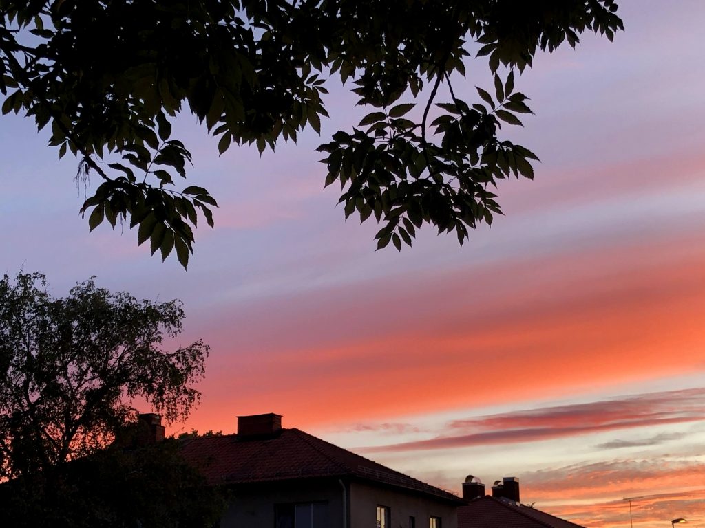 A pink and orange sky, framed by a roof and trees