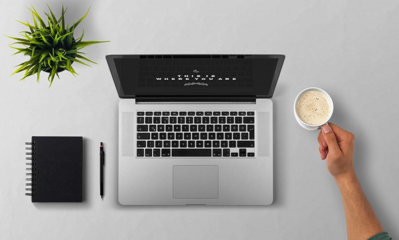 View of a computer, next to a plant, a notebook, and a hand holding a cup of coffee