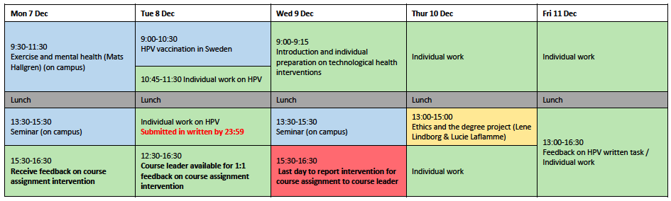 Screenshot of a the course schedule 