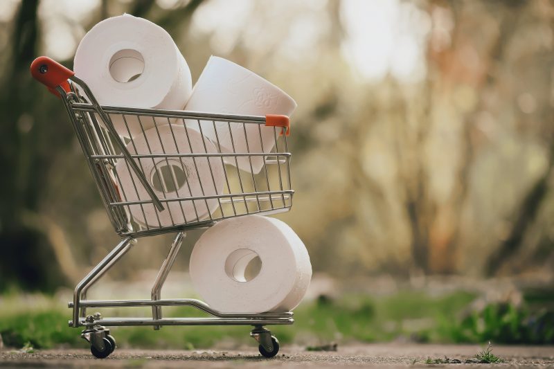 Giant toilet paper rolls inside a shopping cart
