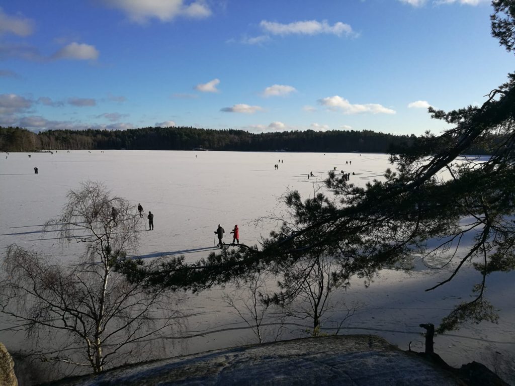 Upper view of the frozen lake