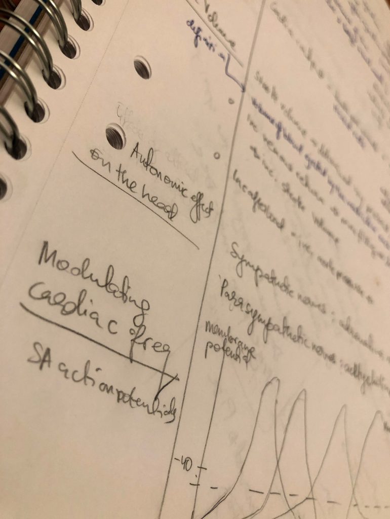 Photo of a page of notes about the heart, with phrases such as "modulating cardiac freq" and graphs