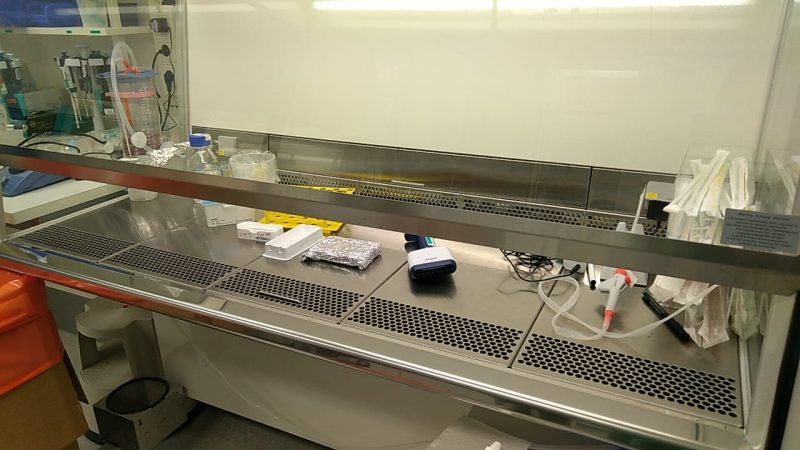 Cell culture hood