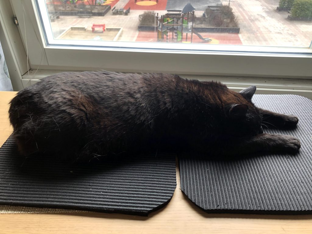 A black cat sprawls with two front paws stretched out.