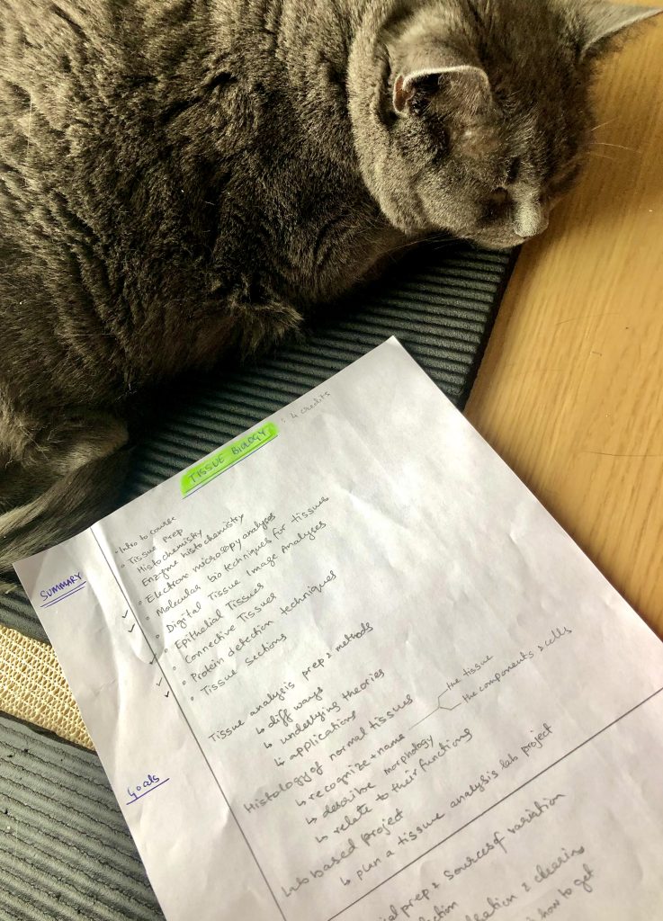 A cat sleeping next to a paper that gives a summary and outlines the goals of the Tissue Biology course.