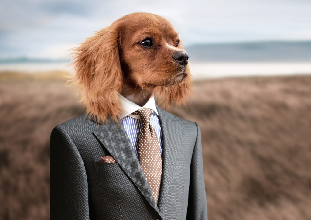 A suit, with a dog's head instead of a person's. The background is a blurry brown field.