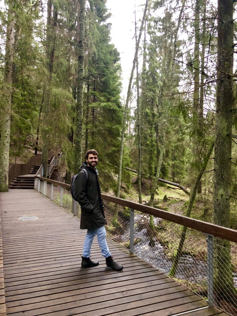 Path in Tyresta National Park