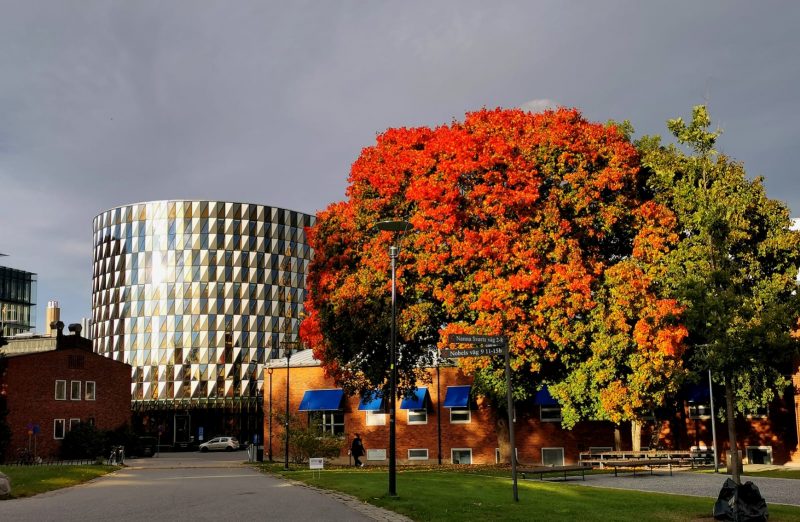 KI Campus during Autumn