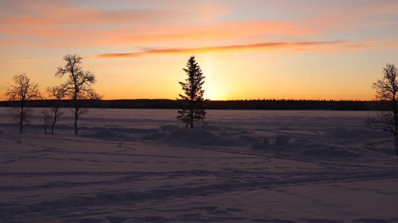 Morning sunlight at Kiruna. Photo credit: Sepriani Limbong