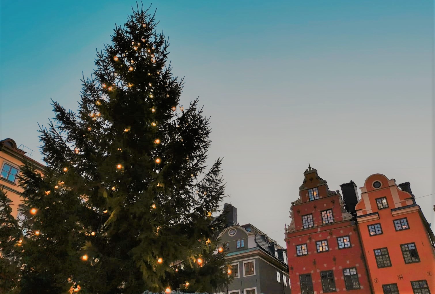 Christmas celebrations as a student in Stockholm! - Student blogs from